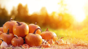 pumpkins