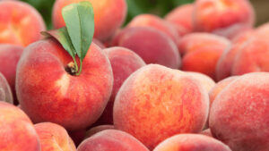 Peaches